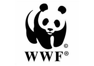 WWF WWF